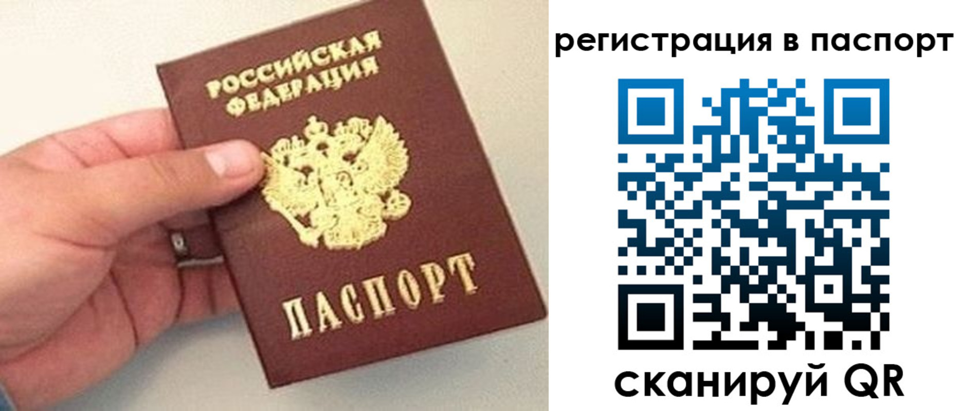 прописка законно в Сарове
